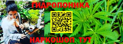 гидропоника Краснознаменск