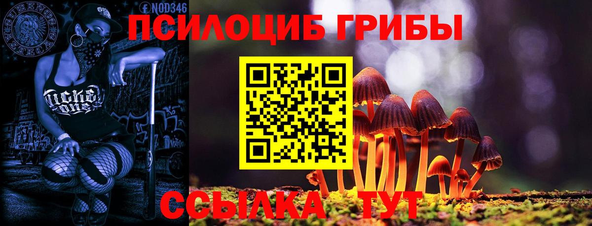 Галлюциногенные грибы Cubensis  Псилоцибиновые грибы MAGIC MUSHROOMS  Кимры  Вход с VPN 